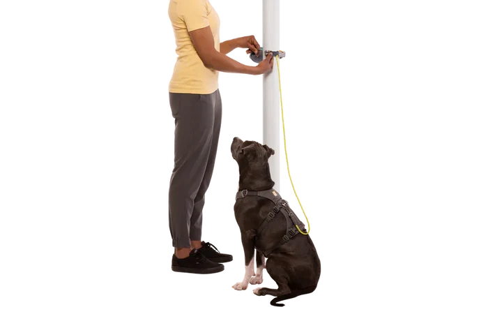 Ruffwear Hitch Hiker™ Dog Leash – Slate Blue - Dog.Dog.Cat.