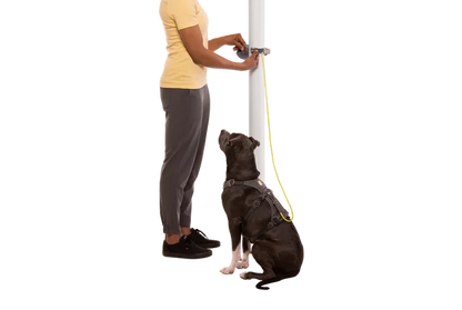 Ruffwear Hitch Hiker™ Dog Leash – Slate Blue - Dog.Dog.Cat.