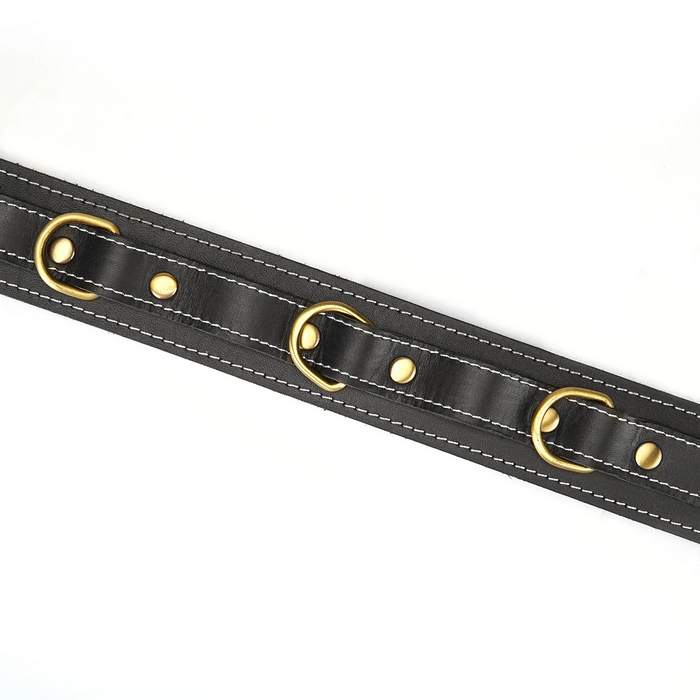 Shogun Thick Leather Collar with Leash