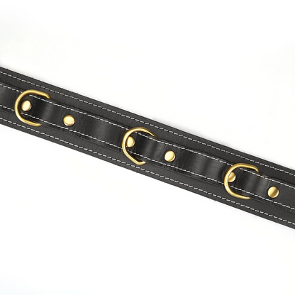 Shogun Thick Leather Collar with Leash