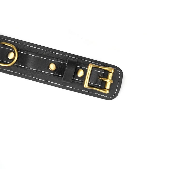 Shogun Thick Leather Collar with Leash