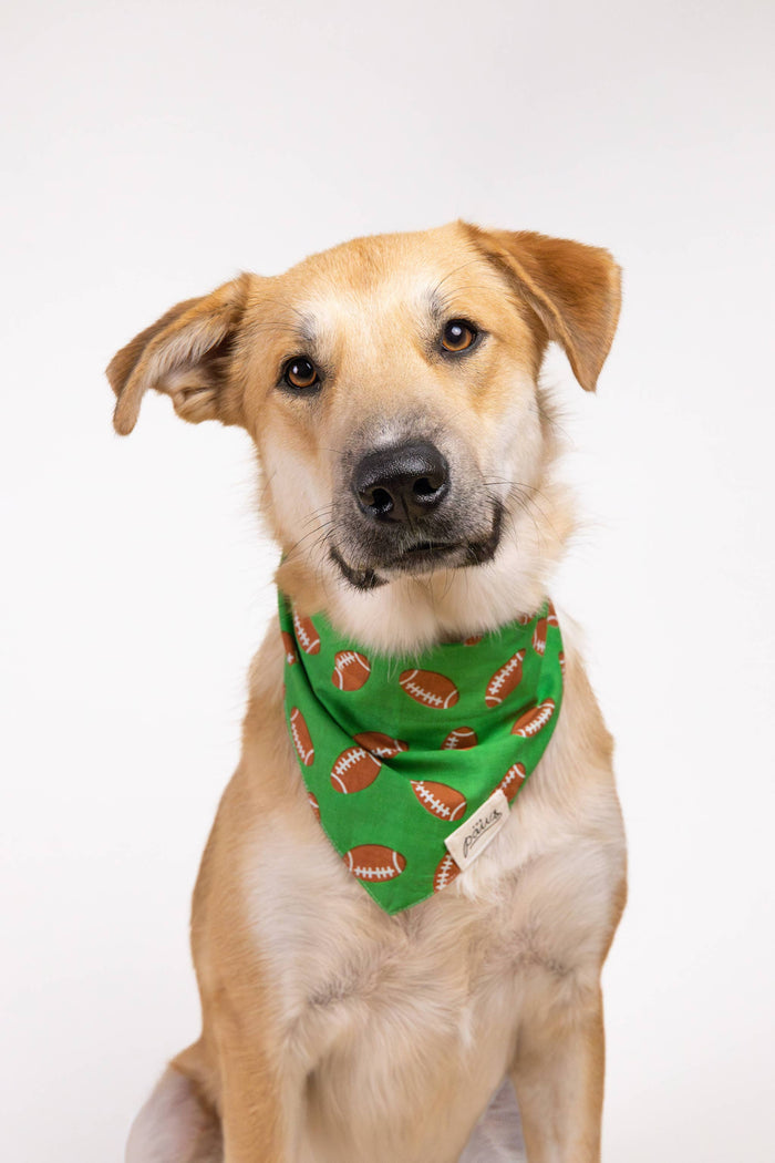 The Paws - Defender Football Dog Bandana - Dog.Dog.Cat.