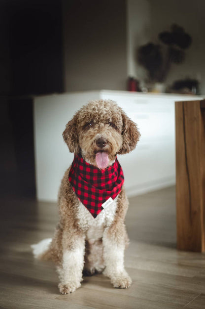 The Paws - Whiskey Dog Bandana - Dog.Dog.Cat.