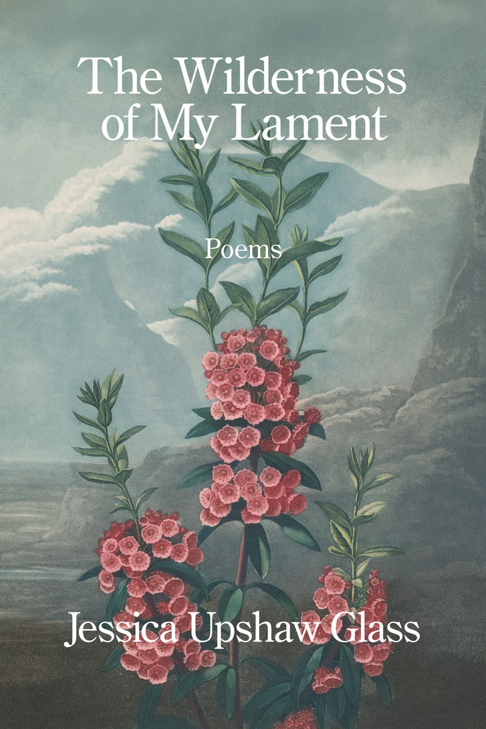 The Wilderness of My Lament