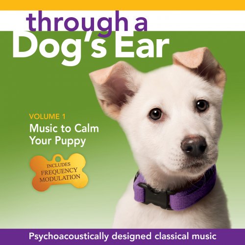 Through a Dog's Ear