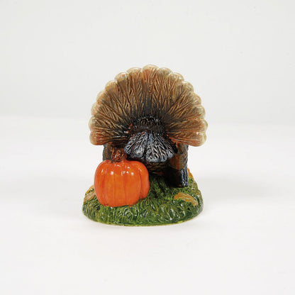 Tom Turkey