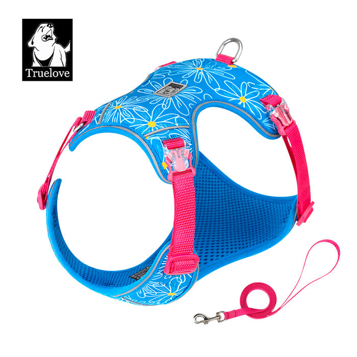 Diva Blue / XXXS