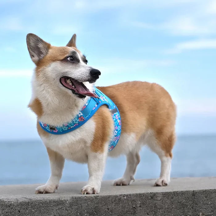 TrueLove Dog Harness TLH30131 - Firecracker - Dog.Dog.Cat.