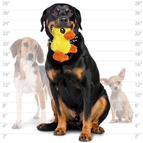 Tuffy Dog Toys - VIP Products - Mighty Microfiber Ball Med Duck, Durable, Squeaky Dog Toy - Dog.Dog.Cat.