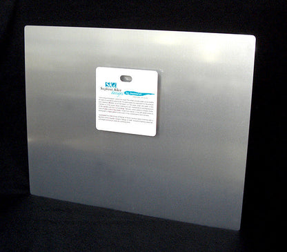 Turtle Paradise Aluminum Wall Art