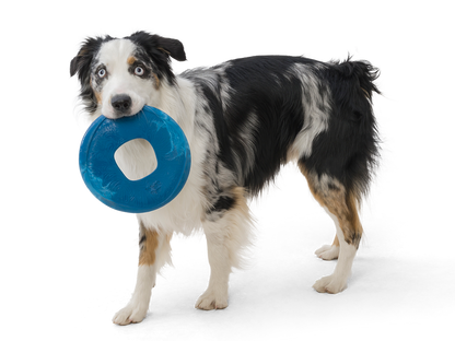 West Paw - Sailz® Dog Flying Disc Fetch Toy - Dog.Dog.Cat.