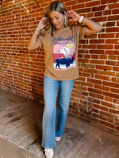 Yellowstone Bison Boyfriend Graphic Tee, Clay