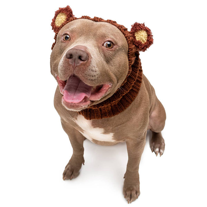 Zoo Snoods - Fuzzy Bear Zoo Snood - Dog.Dog.Cat.